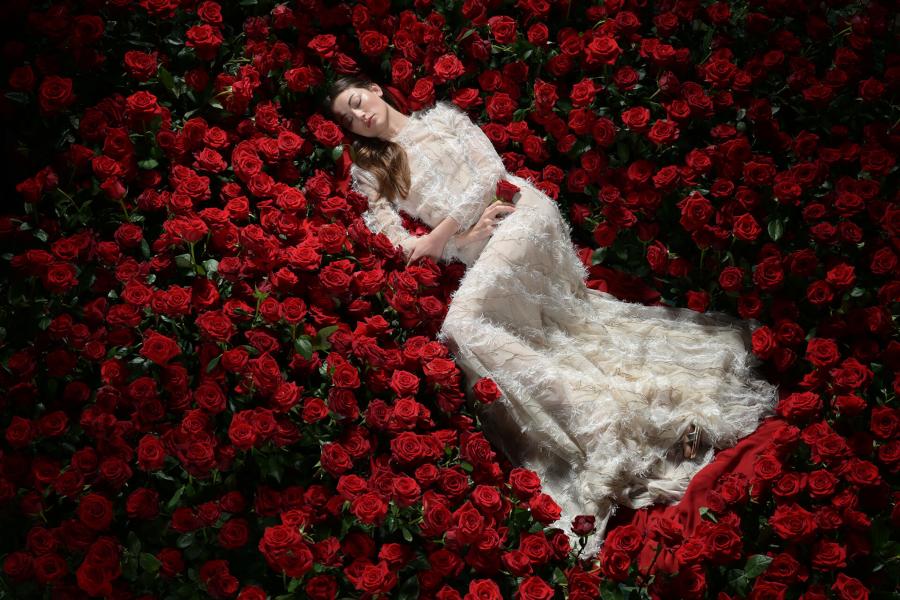 Nikon Z9 Camera Body 32 Nikon Z9 Camera Body -Camera Gear Store z 9 high resolution