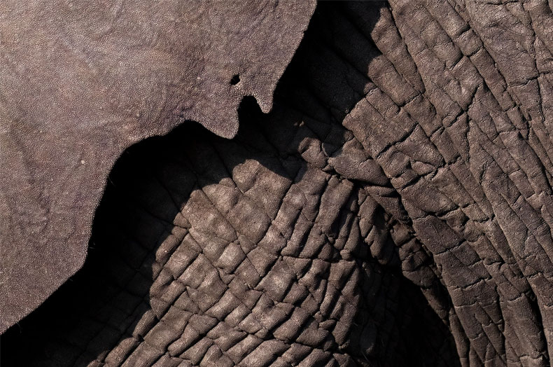 Sigma 100-400mm F5-6.3 DG DN OS Contemporary Lens - X Mount 18 Sigma 100-400mm F5-6.3 DG DN OS Contemporary Lens - X Mount -Camera Gear Store 100400FujiSample3