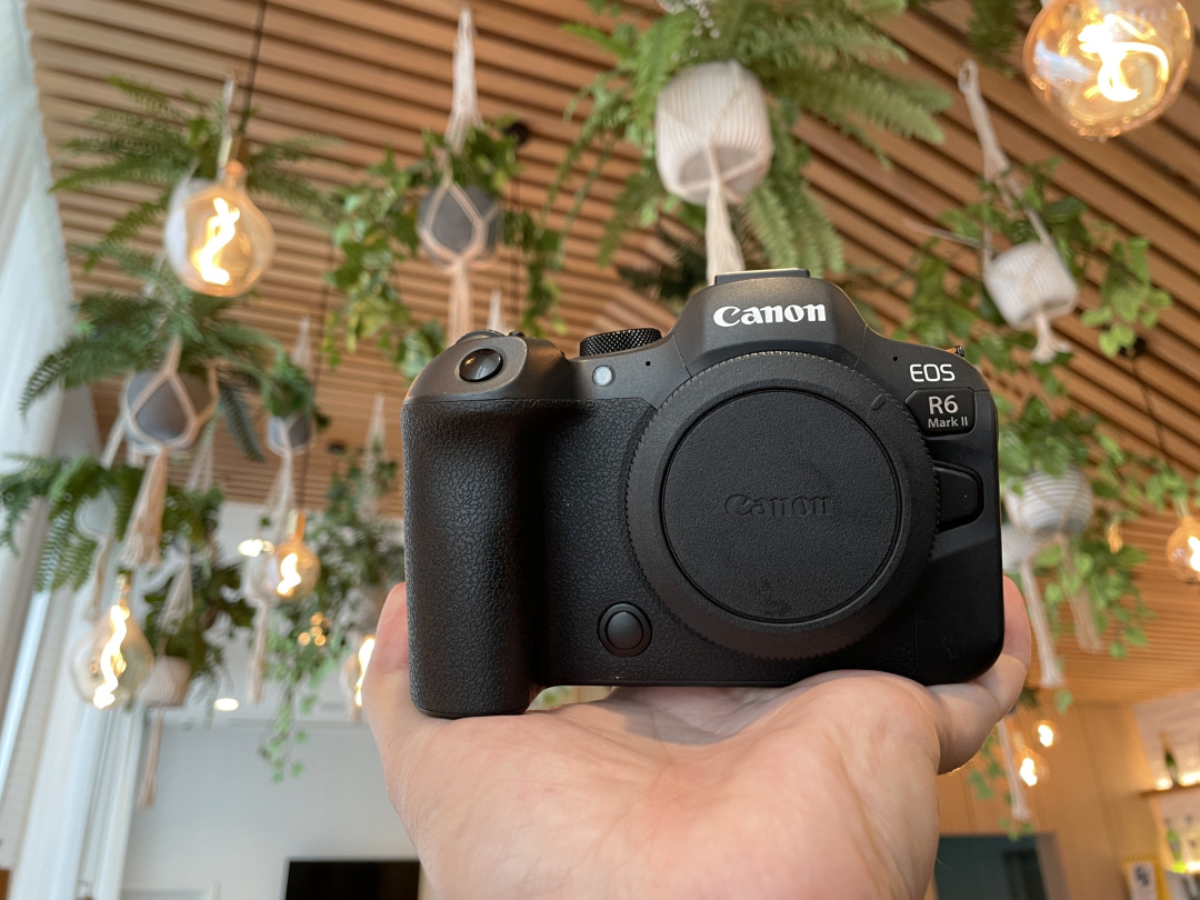 Canon R6 Mk II in front of foliage indoors