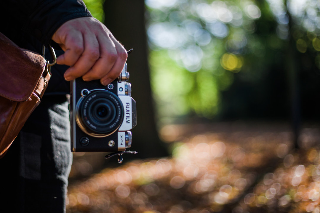 Fujifilm X-T4 in the woods