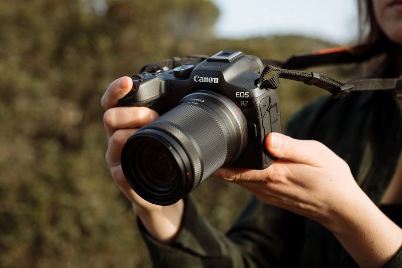 Canon EOS R7 being used for wildlife photography