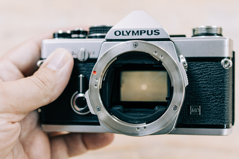 Secondhand Olympus SLR at Harrison Cameras